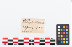Etikett zu Bronzeschlangenfibel (NHMW-PRAE-026558)